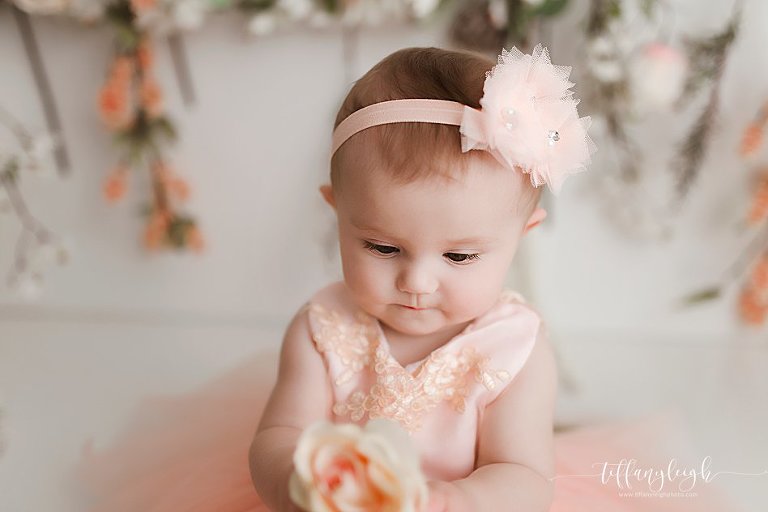 newborn photography baby pics child portraits family photographer posed newborns gainesville ocala north central florida lake city fl,