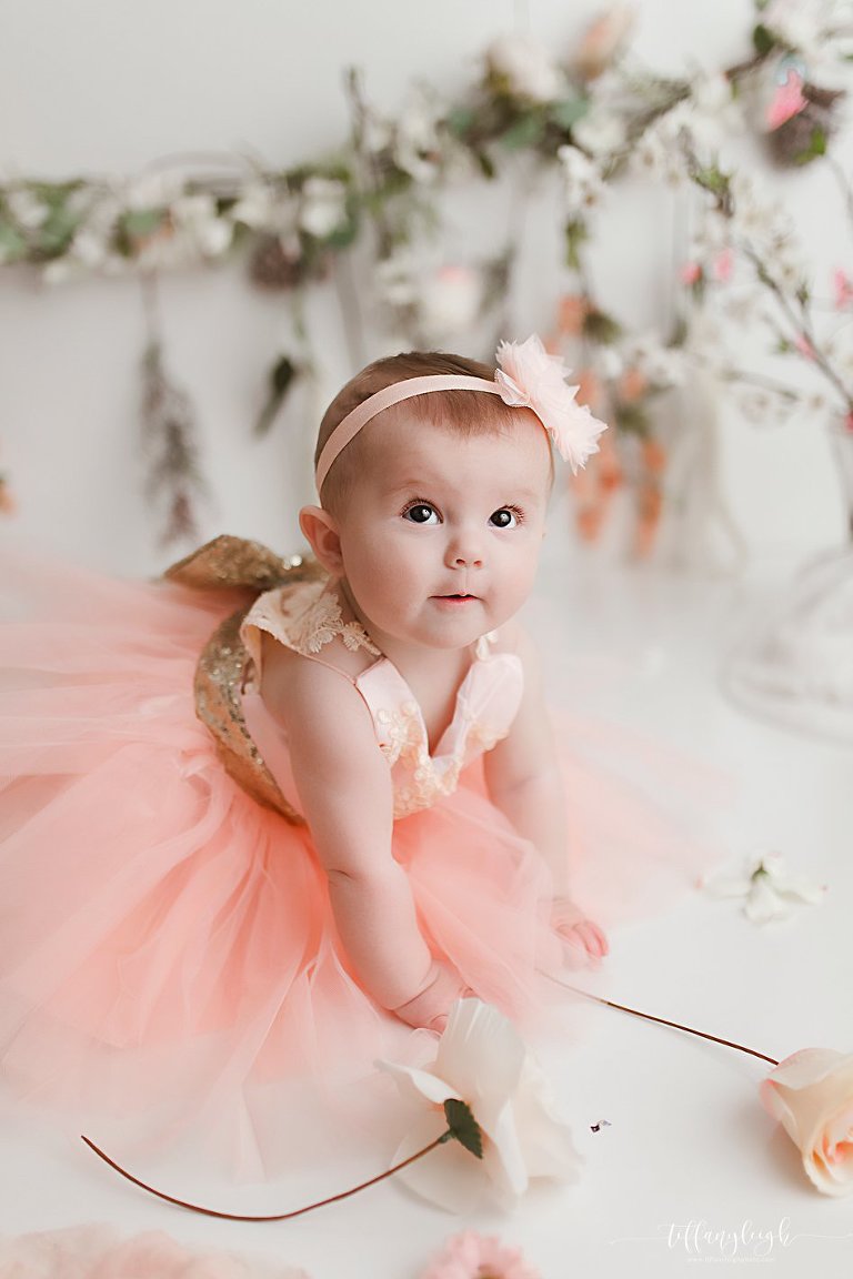 newborn photography baby pics child portraits family photographer posed newborns gainesville ocala north central florida lake city fl,