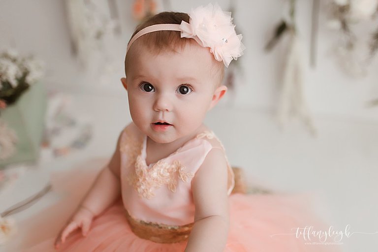 newborn photography baby pics child portraits family photographer posed newborns gainesville ocala north central florida lake city fl,