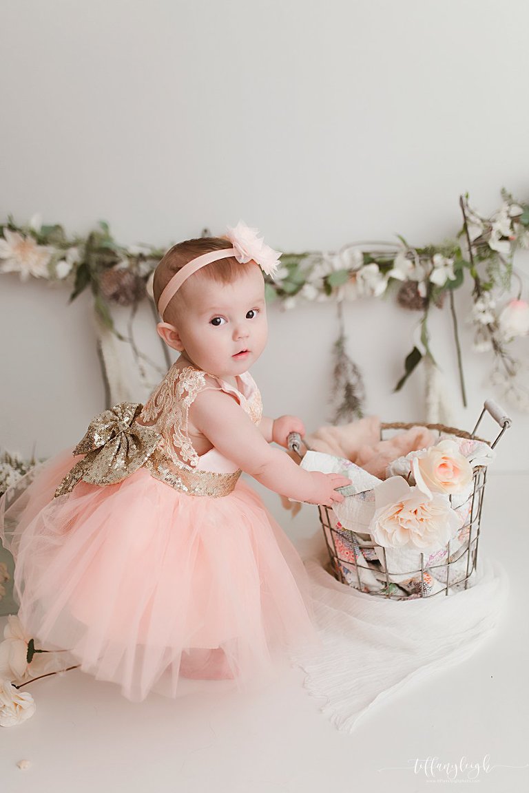 newborn photography baby pics child portraits family photographer posed newborns gainesville ocala north central florida lake city fl,