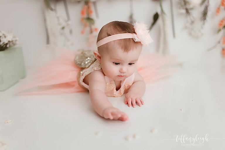 newborn photography baby pics child portraits family photographer posed newborns gainesville ocala north central florida lake city fl,