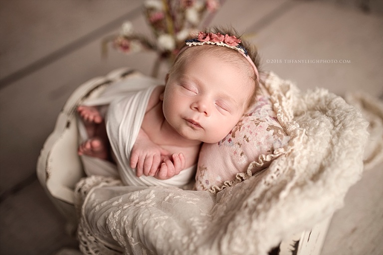 A newborn baby wears a flower headband | Newborn Photography In Gainsville
