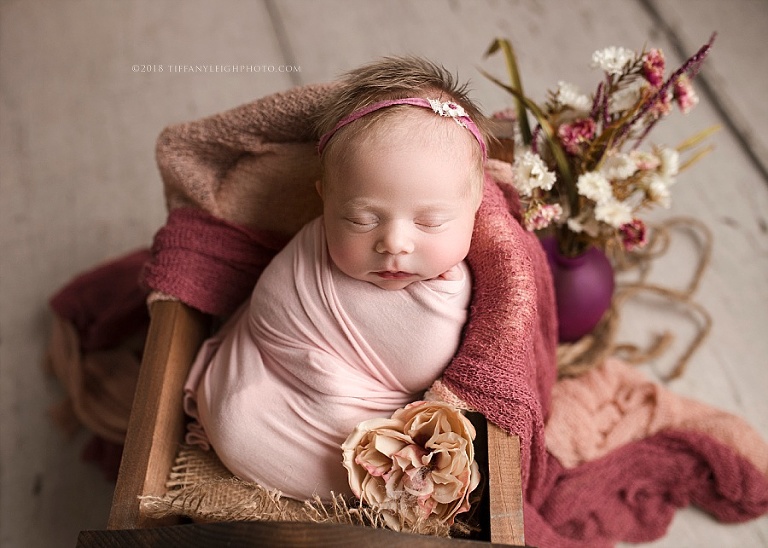 A new baby is placed in a basket. 