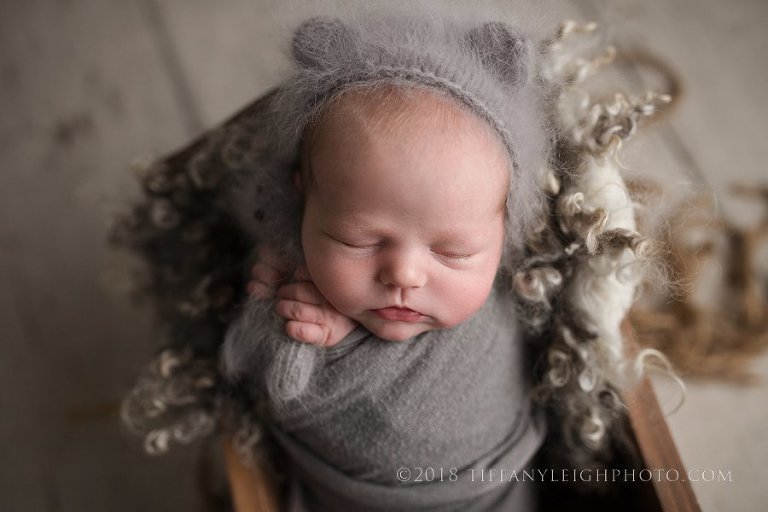 baby dressed as a bear newborn photography