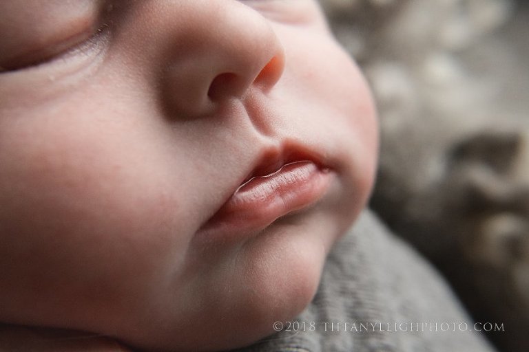 newborn lips macro in gainesville florida