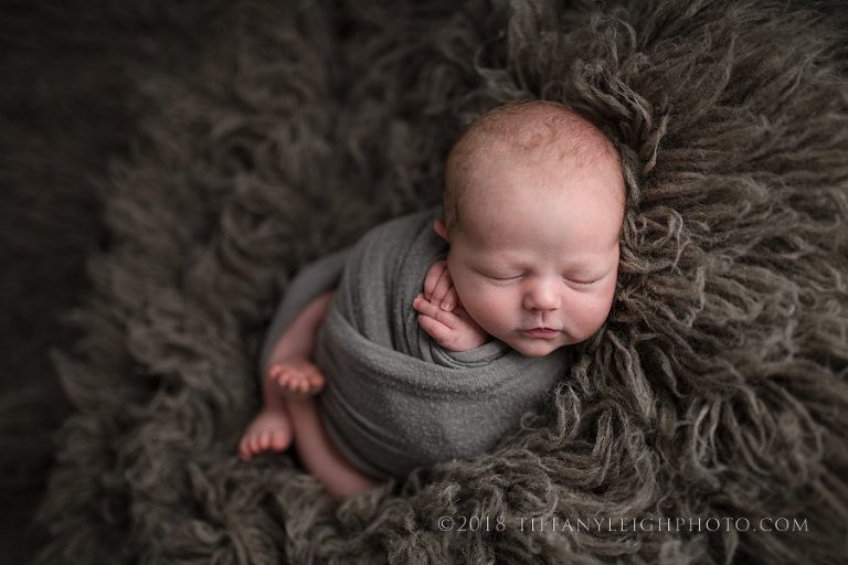 newborn picture on gray