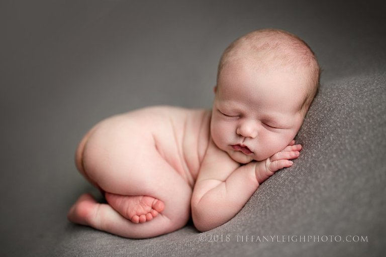 gainesville baby photography bum up