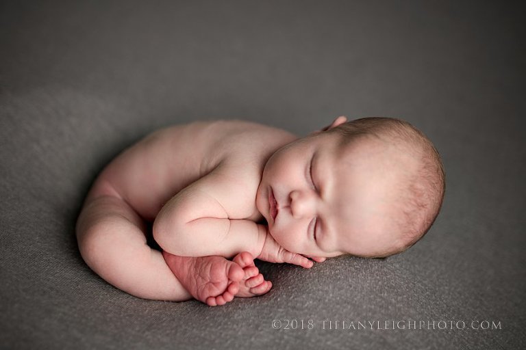 taco tuesday newborn photography in florida