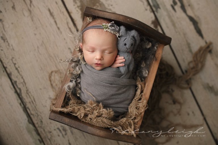 newborn girl on gray with bunny