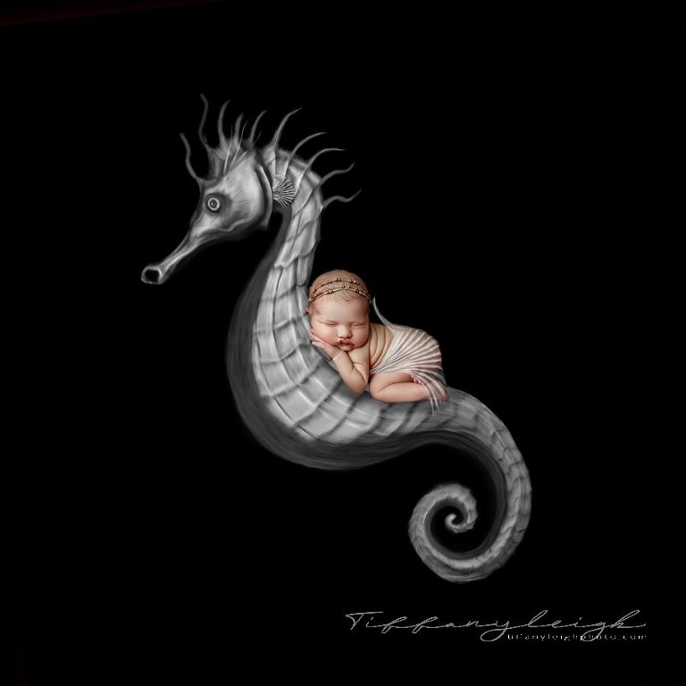 seahorse newborn nursery