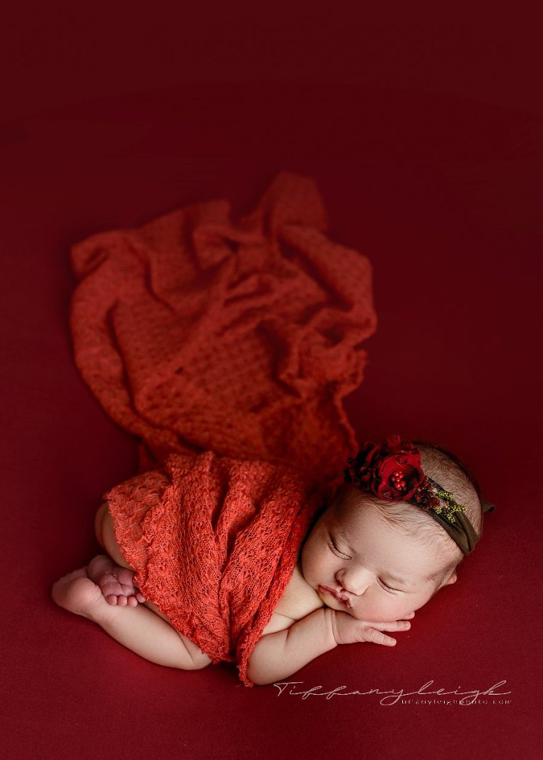 newborn portraits gainesville fl