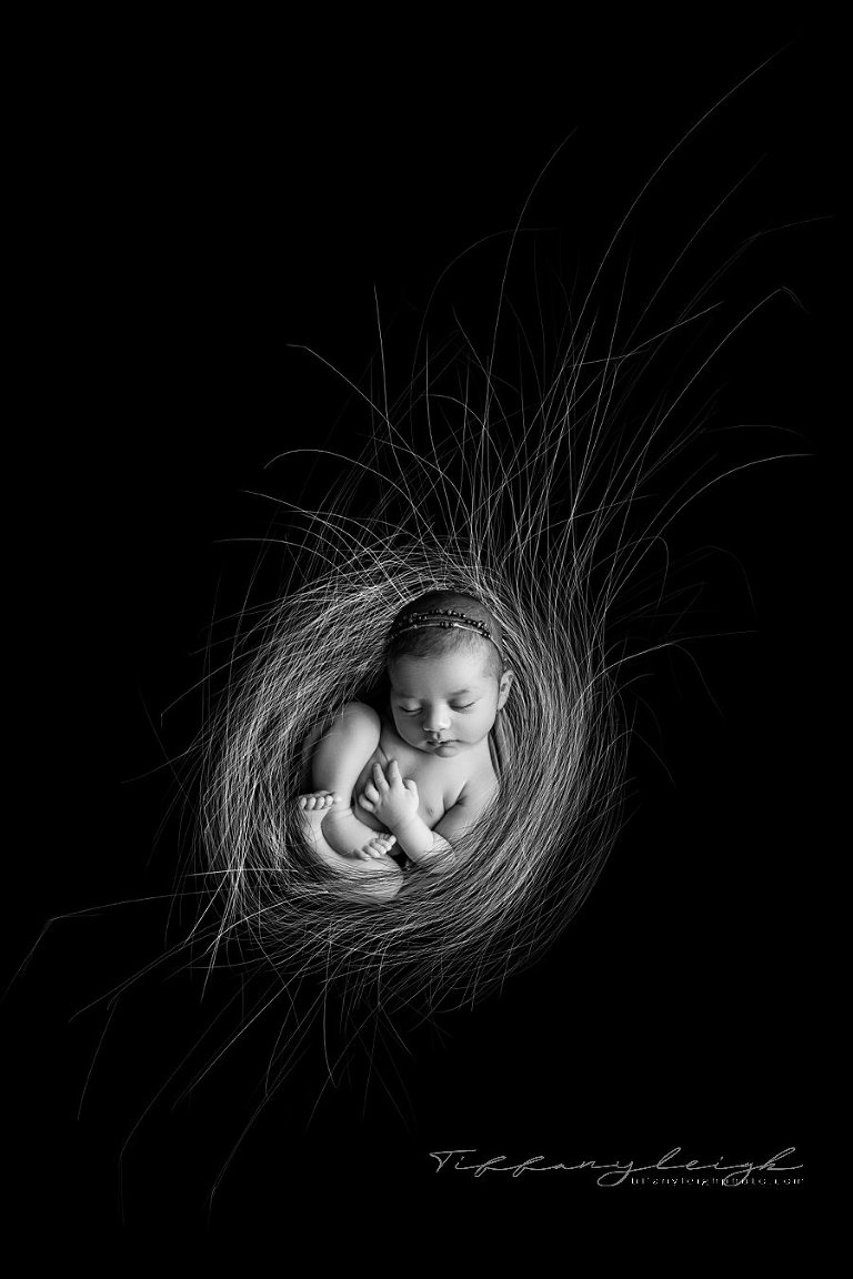 newborn girl in nest