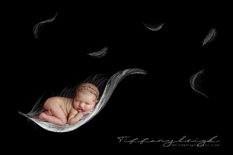hand drawn newborn art florida