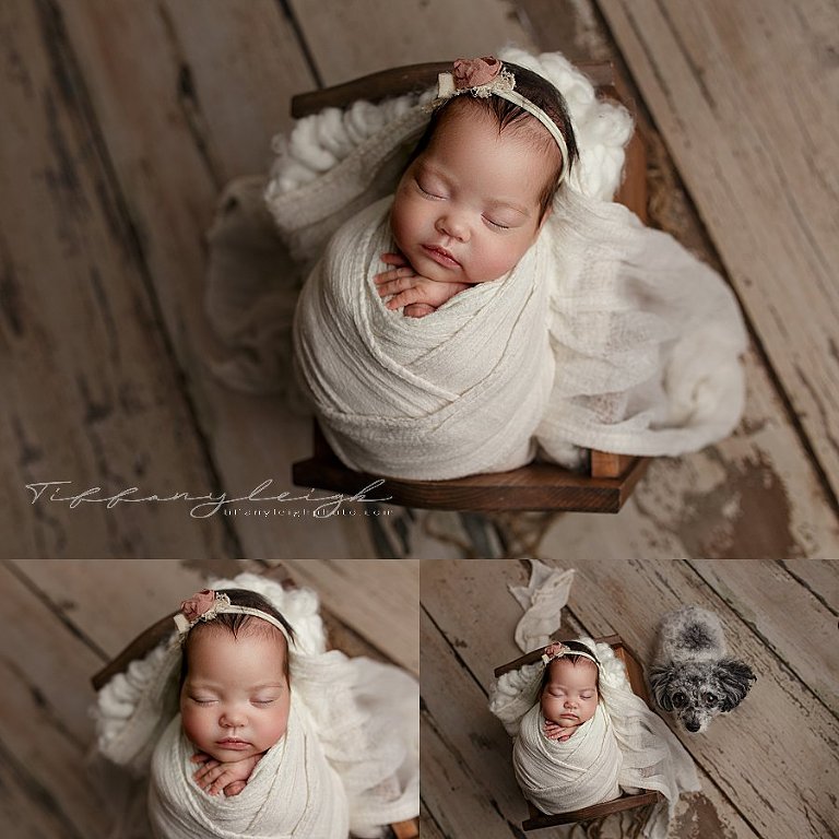 wrapped baby and puppy 