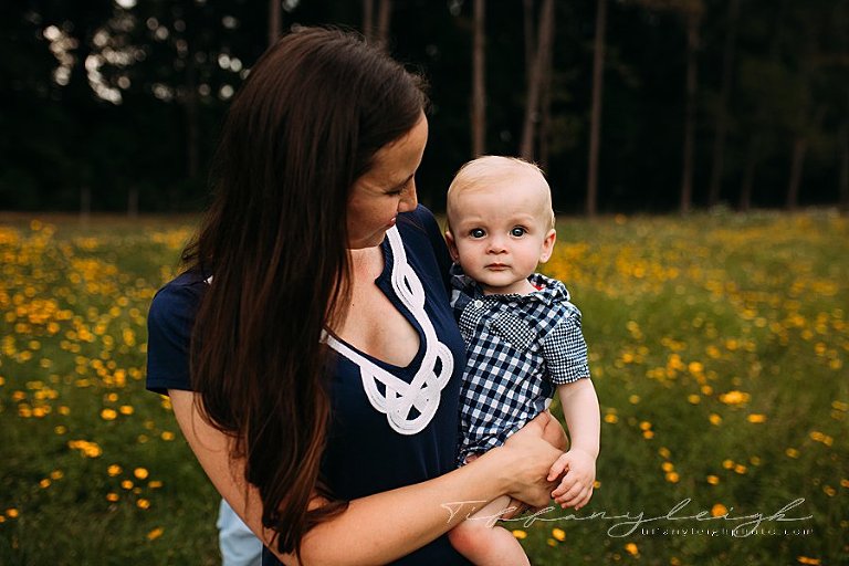 Wild flower field in Gainesville fl