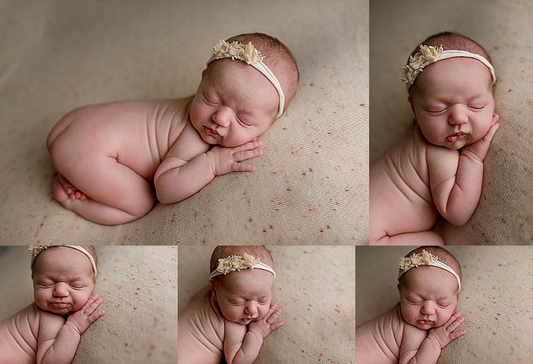 top newborn photographer in ocala