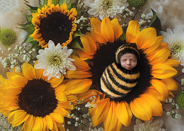 newborn art little bee lake city 