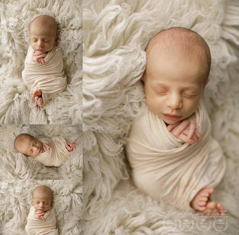 gorgeous cream rug newborn photos