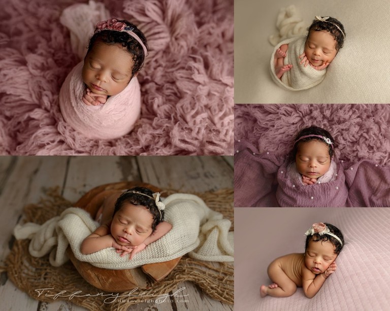 newborrn photography gainesville