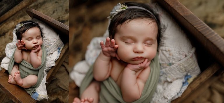 bed prop newborn photos gainesville fl