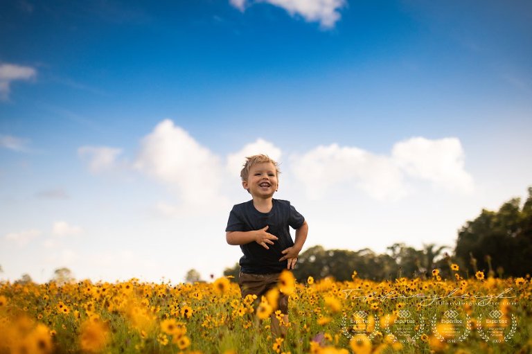 yellow flowers, blue skies gainesville florida