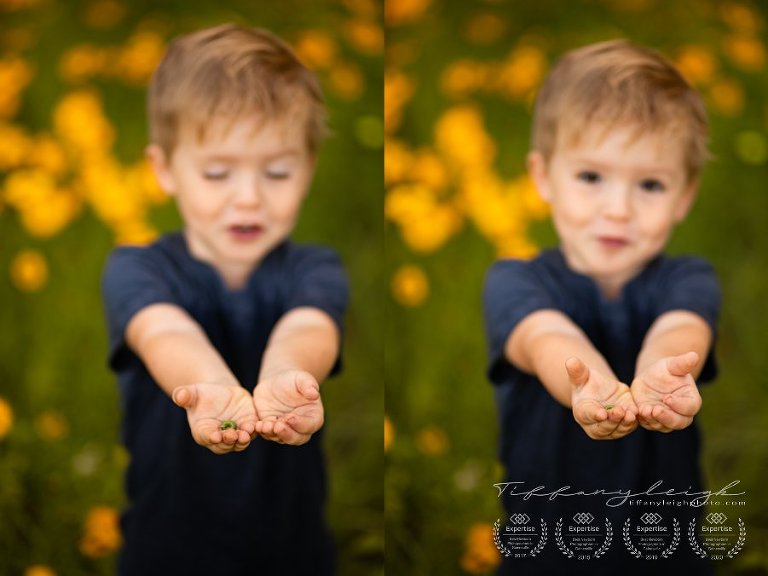 little caterpillar little boy