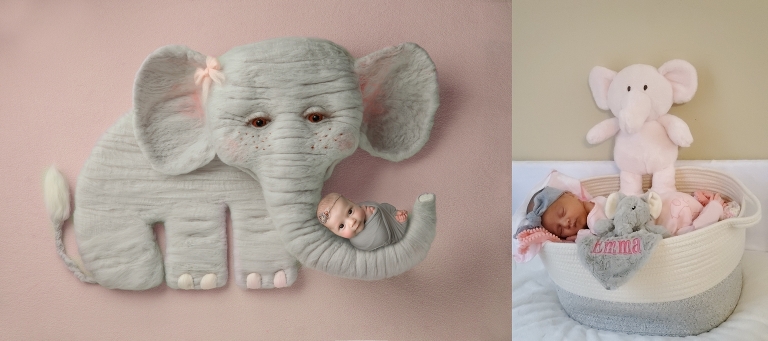 custom newborn session in gainesville 