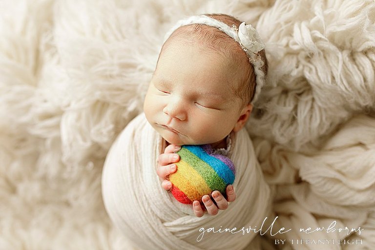 gainesville, fl photographer rainbow baby