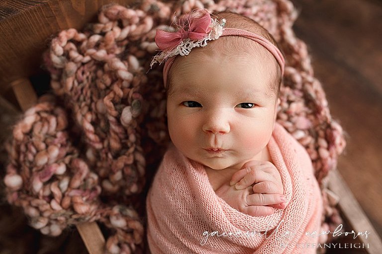 awake newborn staring pics