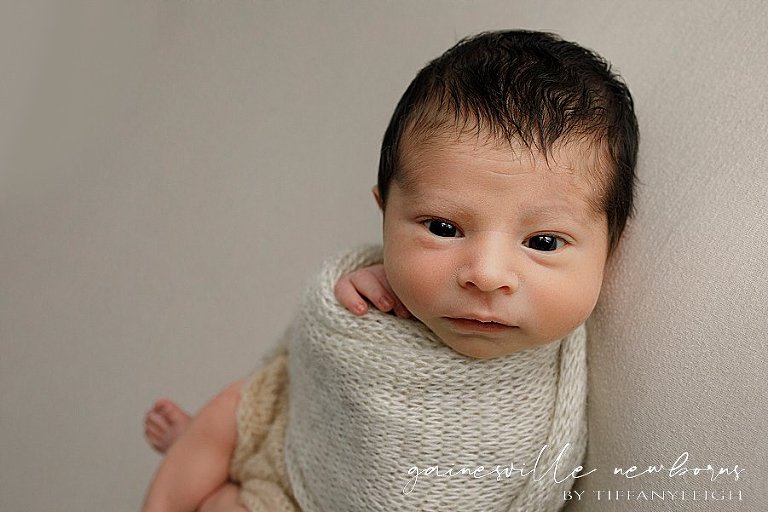 gainesville florida baby pictures