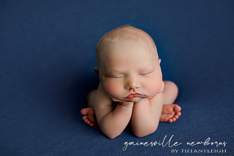 froggy pose gainesville newborn photographer