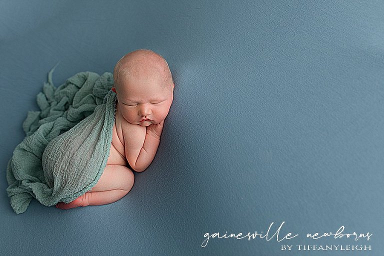 Baby pics gainesville newborn photography