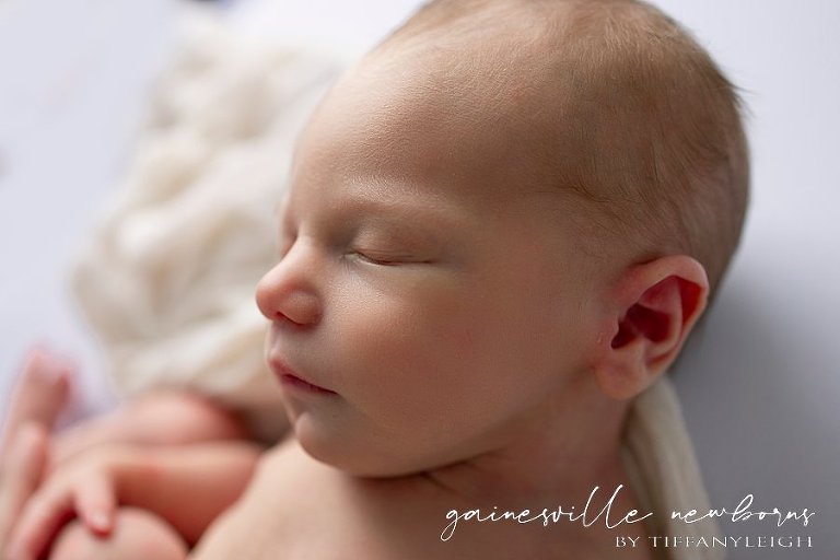 gainesville florida newborn photographer