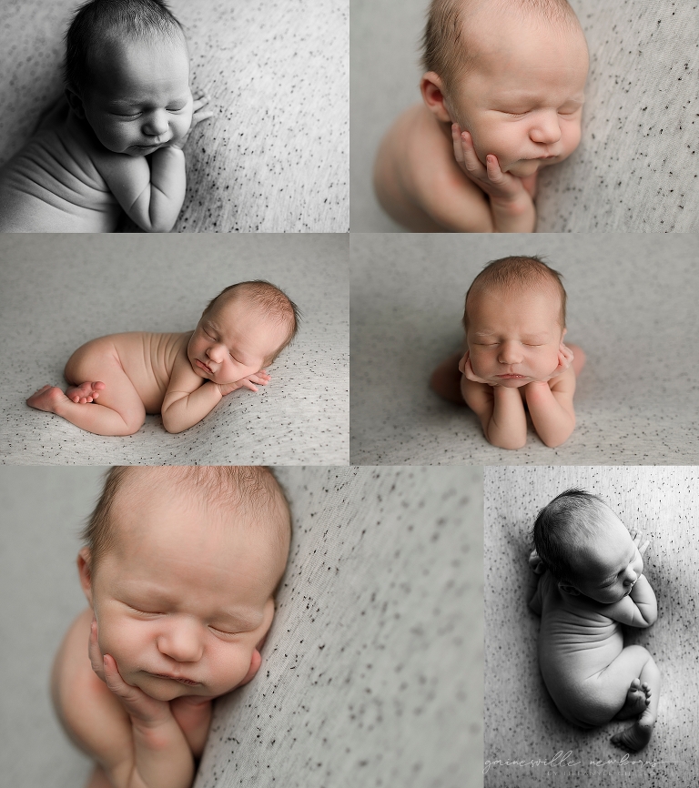 babypics on gray black and white trenton fl newborn photos