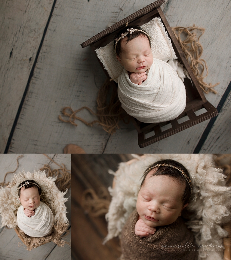 Newborn Baby Props Photography Gainesville Florida