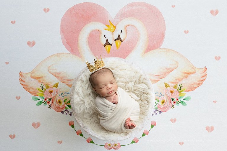 fine art newborn photography ocala fl 