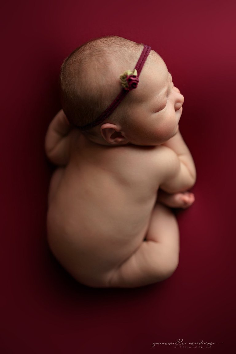 Stricking newborn posing Lake City FL