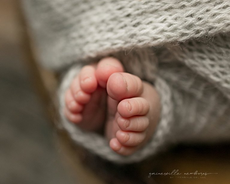 macro shots tiny toes gainesville newborns