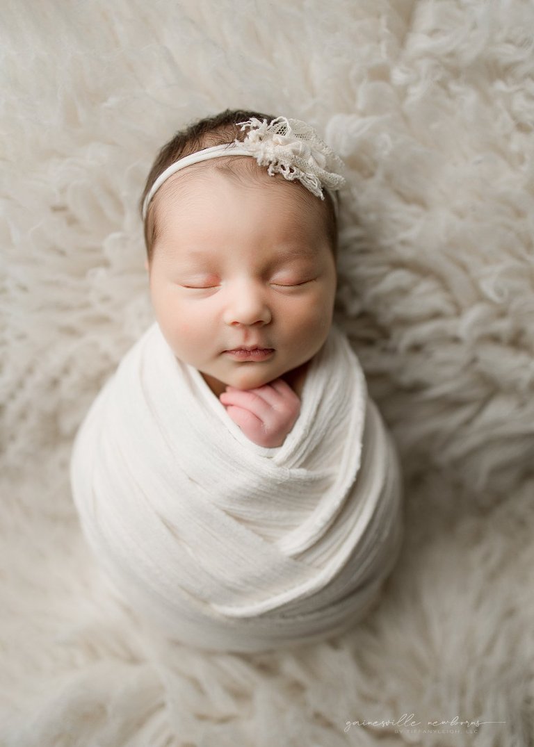 Commercial newborn studio Gainesville