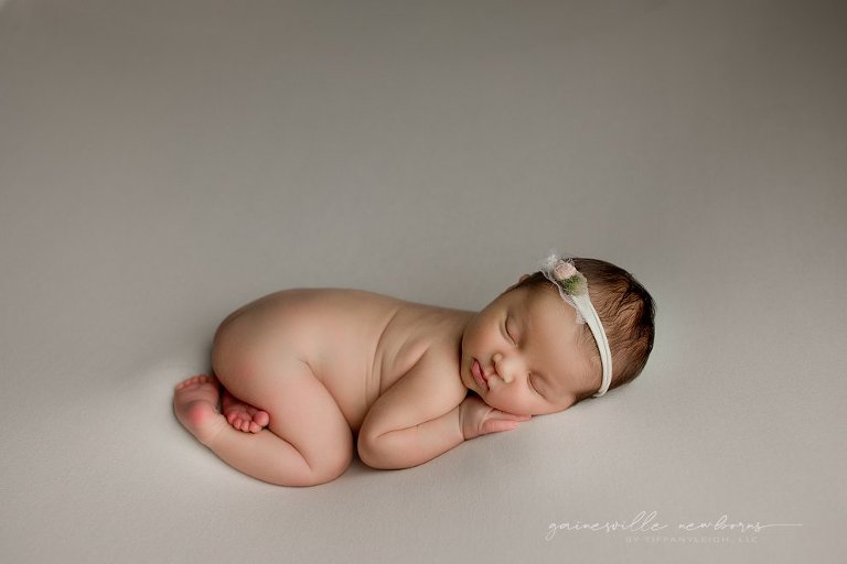 Commercial newborn studio Gainesville