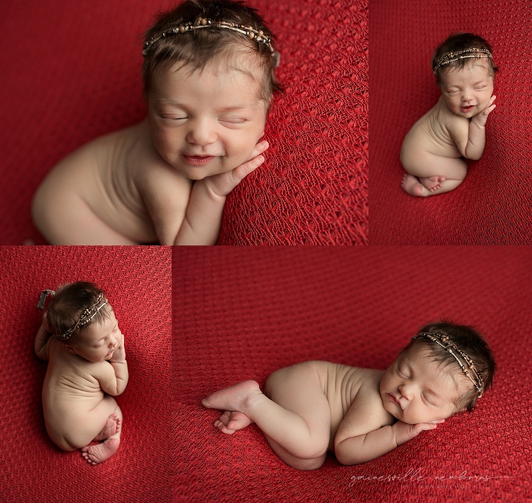 posed newborn photos on red blanket
