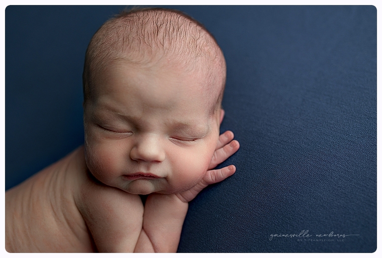 Baby boy posed newborn on blue