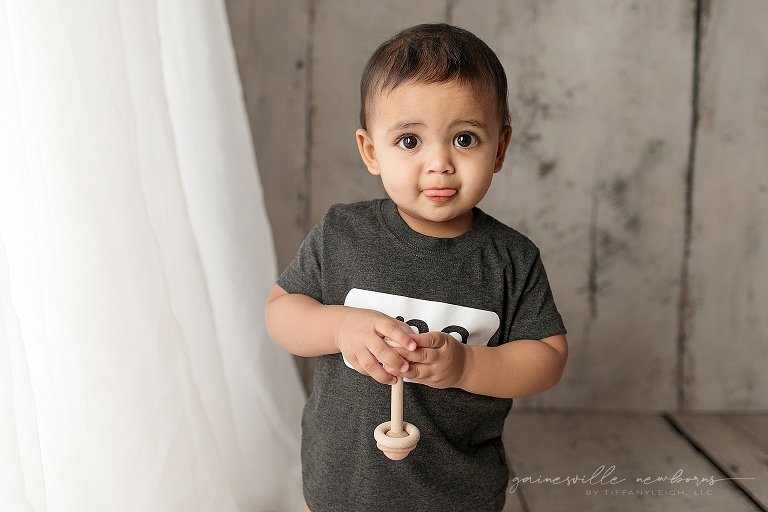first birthday session photos. 