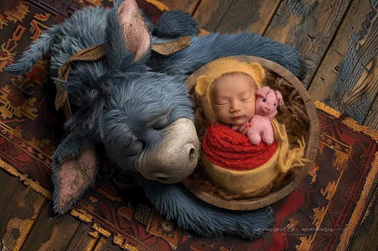 baby pictures,ocala,lake city,photography studio,newborn photographer,infant pics,longleaf,haile plantation,alachua county,micanopy,gainesville,newberry,high springs,baby clothes,pregnancy,birth,north florida,shands,